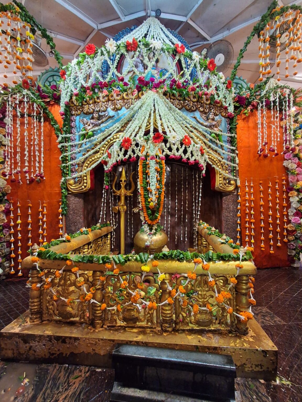 बाबा आम्रेश्वर धाम में 26 फरवरी को धूमधाम से मनाई जाएगी महाशिवरात्रि