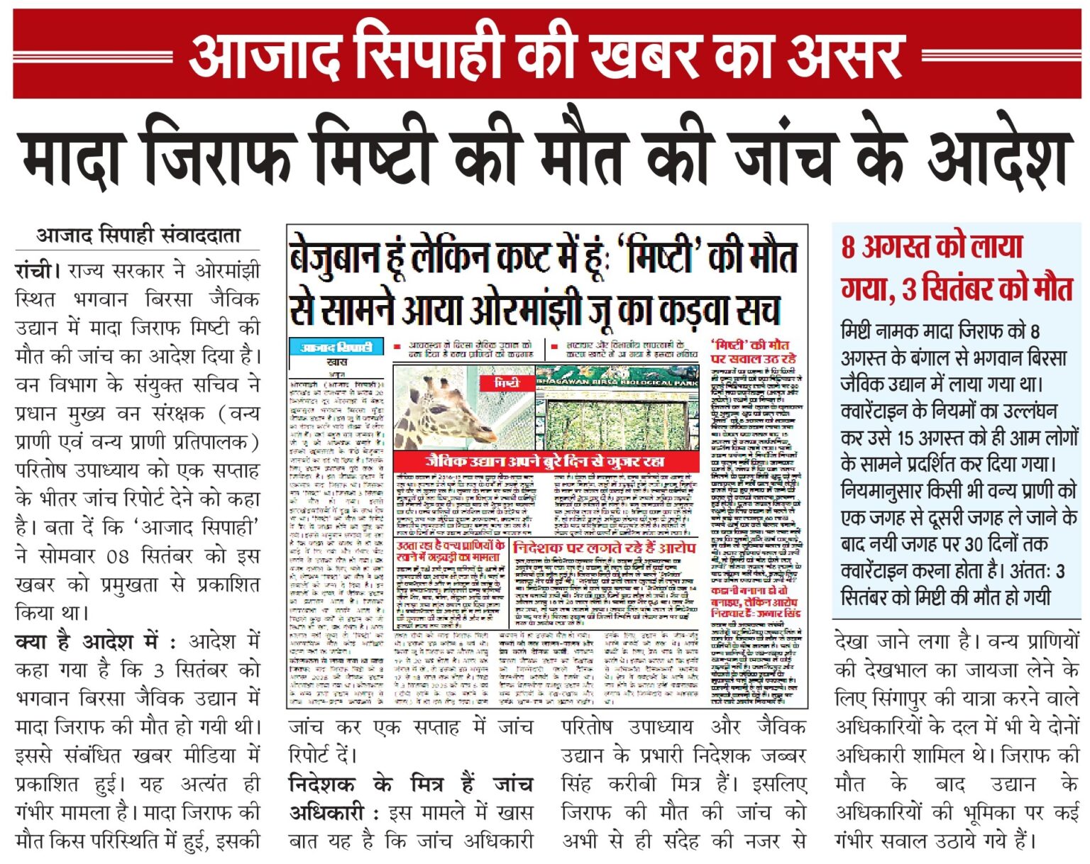 मादा जिराफ मिष्टी की मौत की जांच के आदेश