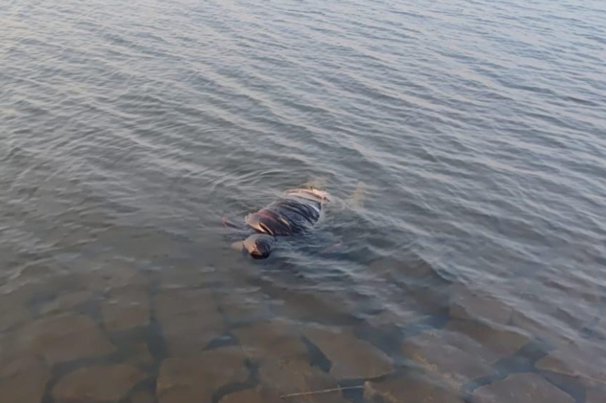 जज के सरकारी ड्राइवर का शव धुर्वा डैम से बरामद, अबतक चार शव बरामद