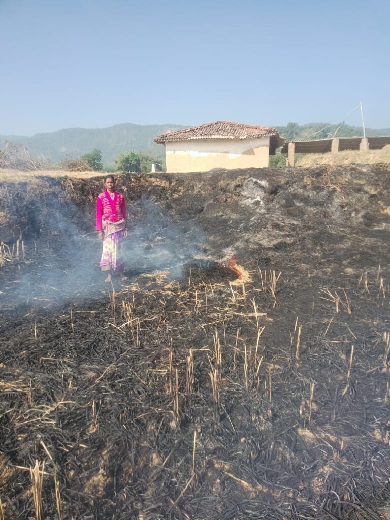 बिजली तार के संपर्क में आने से धान का फसल जलकर खाक