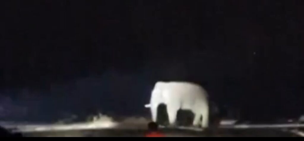 जंगली हाथियों के खतरे को लेकर प्रशासन ने जारी किया हेल्पलाइन नंबर