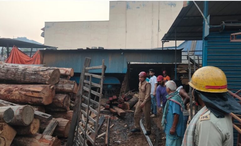 पूर्वी सिंहभूम में आग का दोहरा कहर: लकड़ी गोदाम और सब्जी दुकान राख, लाखों का नुकसान